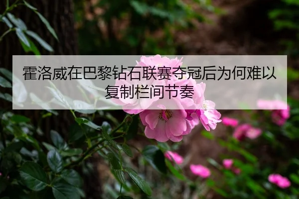 霍洛威在巴黎钻石联赛夺冠后为何难以复制栏间节奏