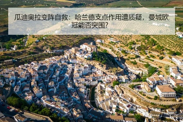 gua-di-ao-la-bian-zhen-zi-jiu-ha-lan-de-zhi-dian-zuo-yong-zao-zhi-yi-man-cheng-ou-guan-neng-fou-tu-wei-3-562.jpg