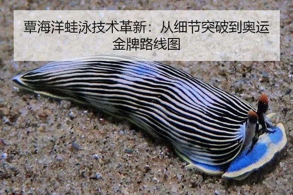 覃海洋蛙泳技术革新：从细节突破到奥运金牌路线图